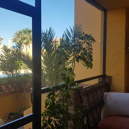 Olivos