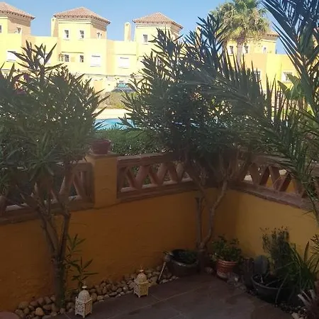 Olivos Vera