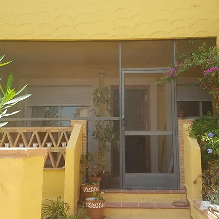 Olivos Vera